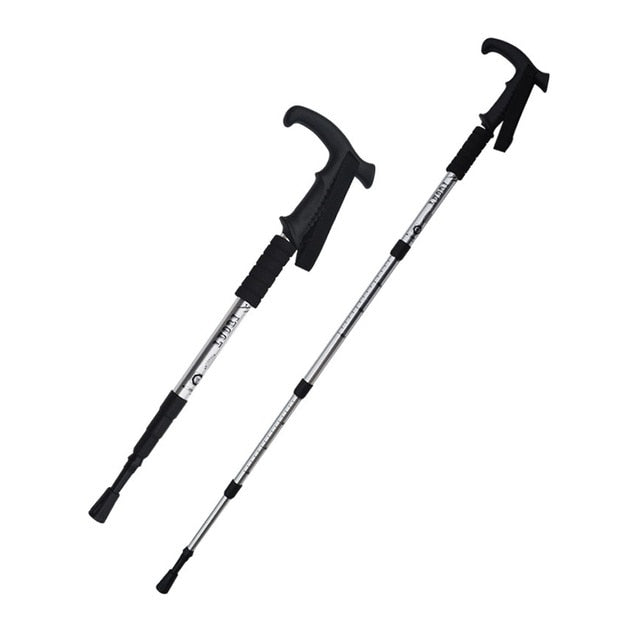 2pcs trekking poles Nordic Walking cane telescopic baton Aluminium Alloy nordic Walking Stick with hiking accessories - EVERTHINGZ